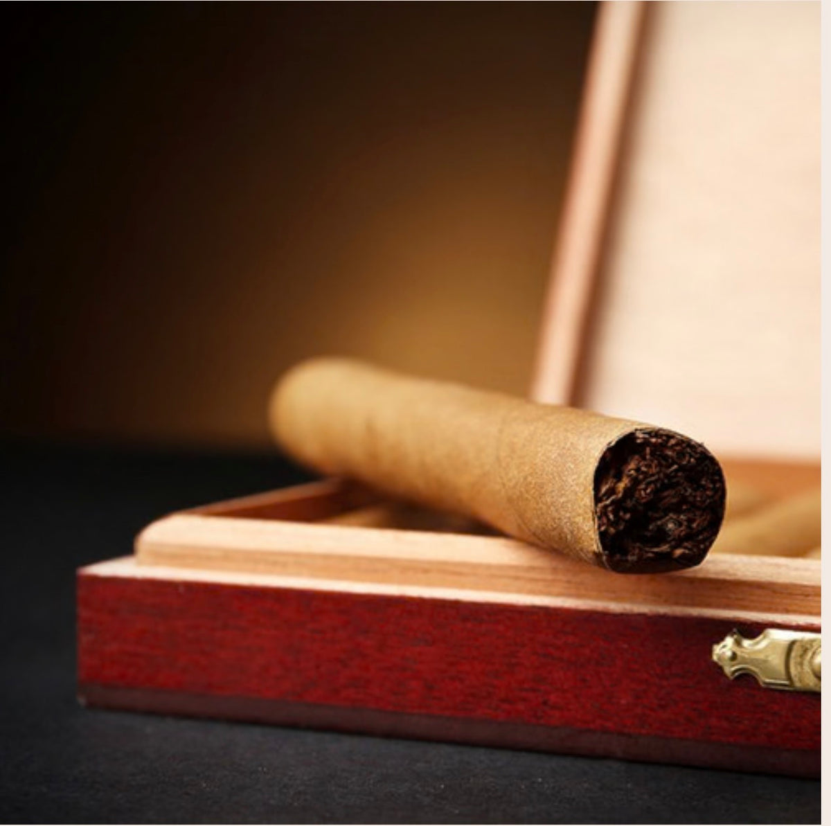 Cuban Cigar