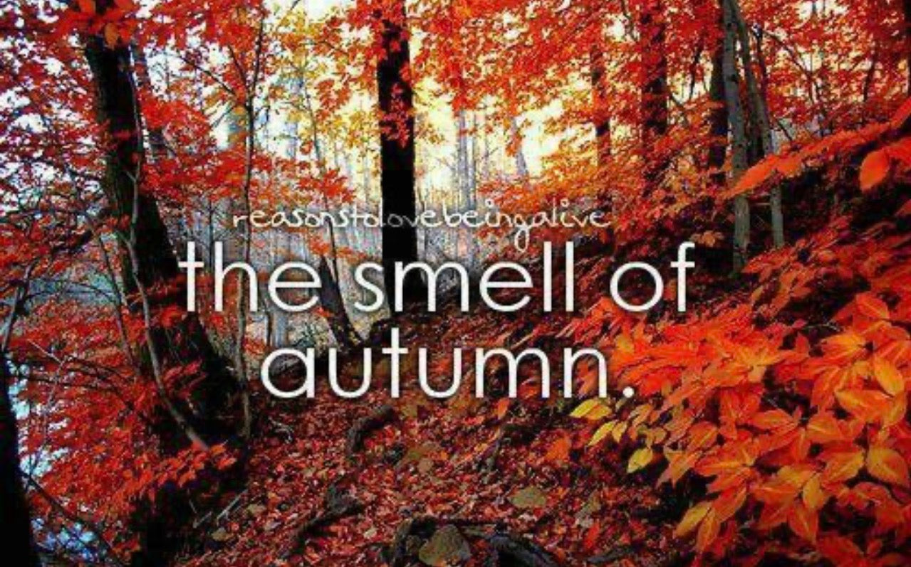 The Smells of Fall